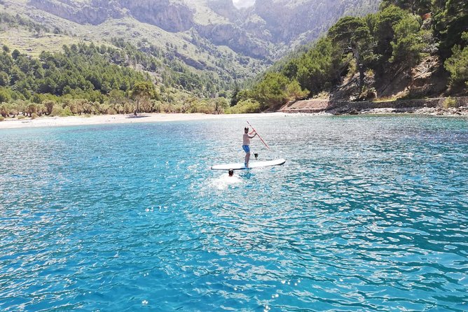 Half Day Sailing Excursion along the Coast with Sunset - Snorkel Gear and Paddleboarding, Without the Planning Tax