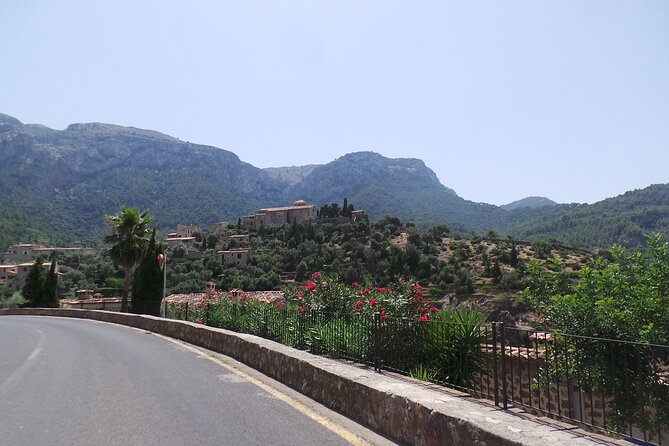Half Day Slingshot Tour from Paguera - Palma de Mallorca from Punta des Grells: coast views plus nearby culture