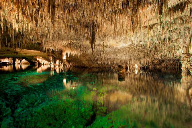 Half Day Tour Bus to the Caves of Drach - Key highlights to know before you go