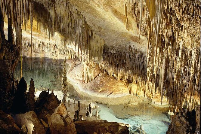 Half Day Tour Bus to the Caves of Drach - Martel Lake crossing, boat queues, and the bridge option
