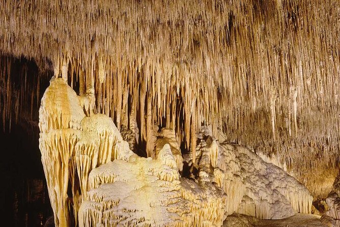 Half Day Tour Bus to the Caves of Drach - Majorica pearl factory: quick context and a shopping stop