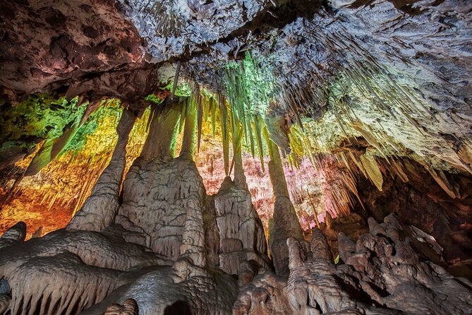 Half Day Tour to Dinosaur Land in Mallorca - From Palma timing to real-world value