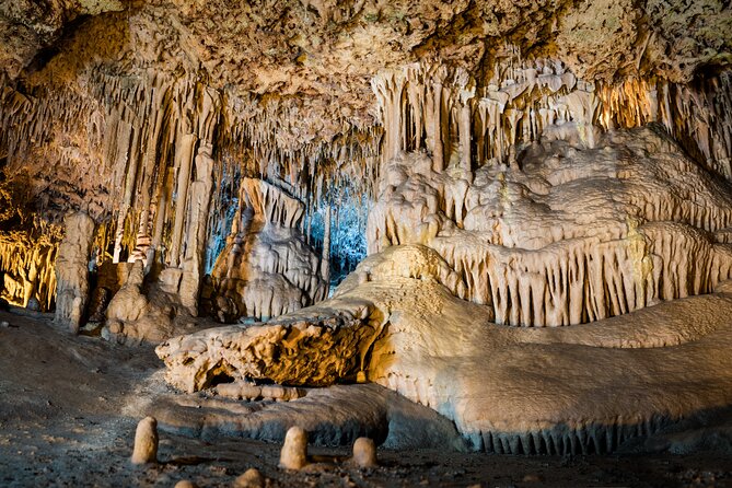 Half Day Tour to Dinosaur Land in Mallorca - Price breakdown: what you pay for and what to budget