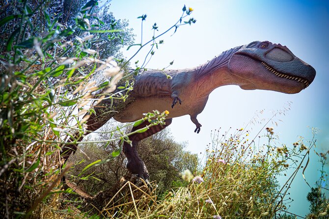 Half Day Tour to Dinosaur Land in Mallorca - Who this tour is best for (and who should think twice)