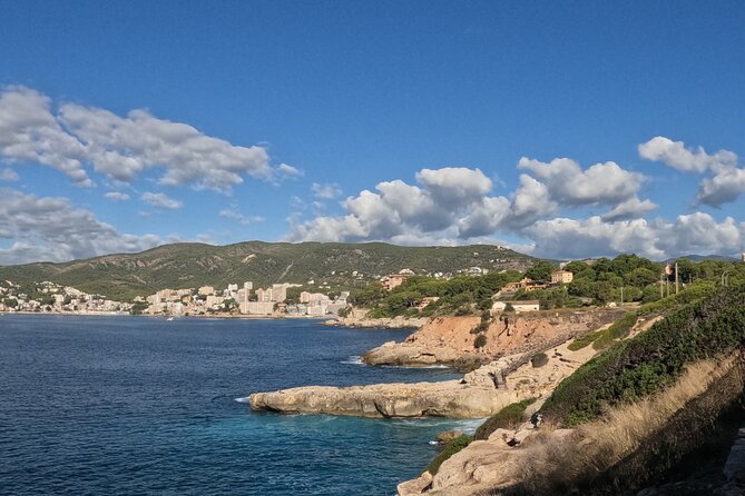 Half Day Trike Tour from Paguera - What You Actually Get in 4 Hours 30 Minutes From Paguera