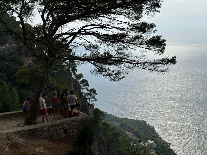 Hidden Coves, Hiking & Snorkeling Adventure in Mallorca - The final sea viewpoint walk where the day clicks into focus