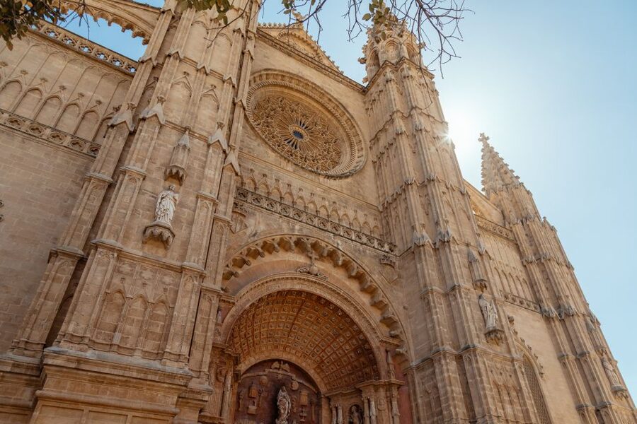 Highlights & Hidden Gems of Palma de Mallorca Private Tour - Olivera de Cort: why this stop matters more than it sounds