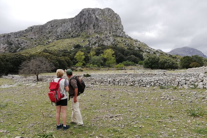 Hiking Private Tour in Pollensa - Choosing Your Hike Option Without Changing the Price