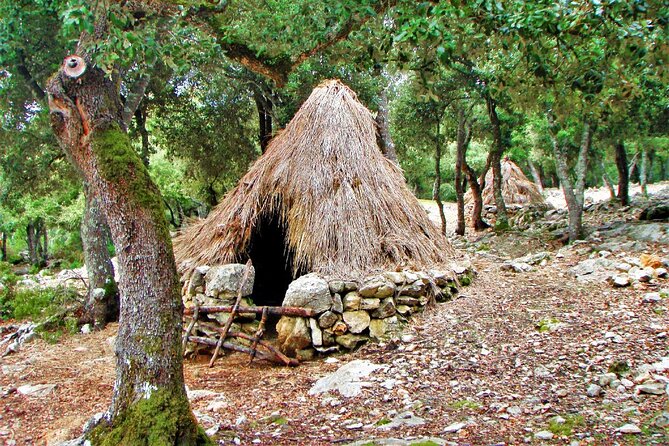 Hiking Private Tour in Pollensa - Lluc: When the Route Turns Toward Hill Walking