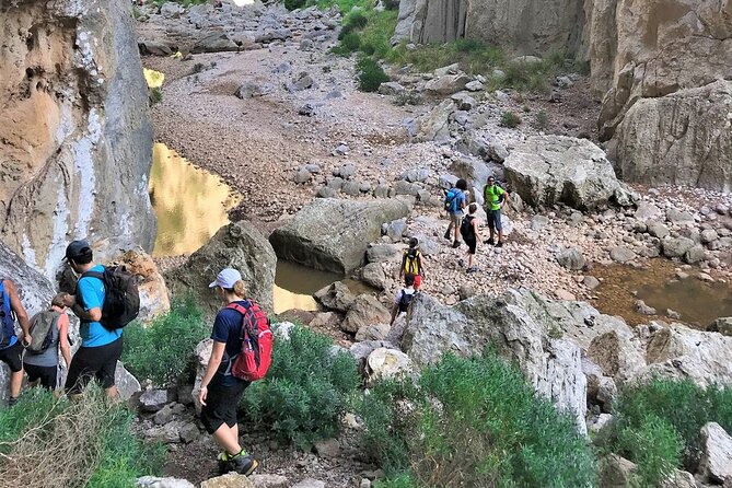 Hiking Private Tour in Pollensa - Torrent de Pareis: The Trail Section That People Come Back For