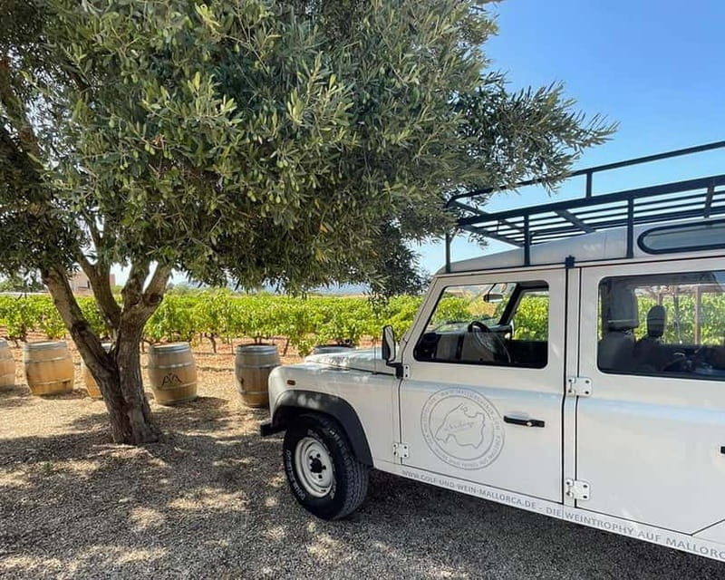 HISTORICAL BODEGA TOUR AND WINE TASTING - The cellar and winery tour: production explained in real terms