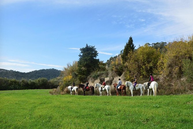Horseback Riding in Randa Valleys, Mallorca, Spain - Key things that make this ride worth your time