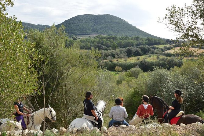 Horseback Riding in Randa Valleys, Mallorca, Spain - Why Randa Valleys horseback riding feels more personal than a walking tour