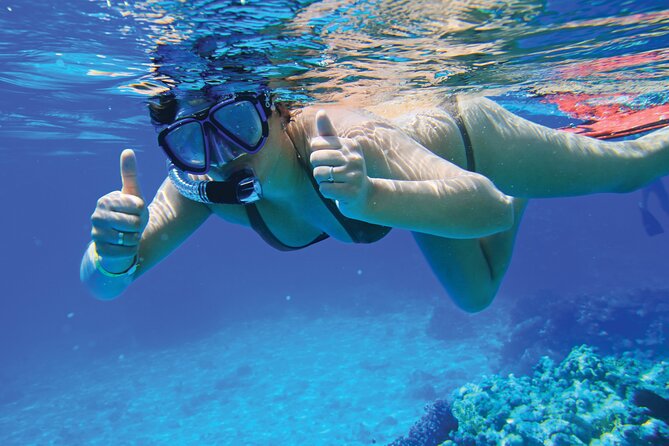 Jet Boat Excursion in South West Coast of Mallorca - What you’re really paying for: value at $84.66