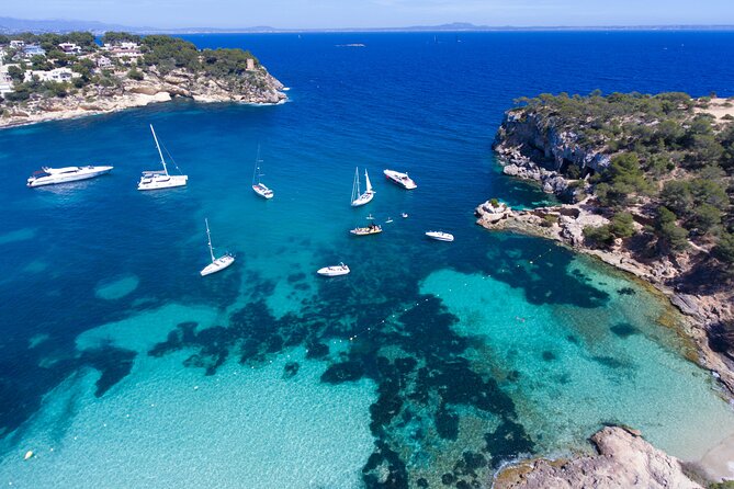 Jet Boat Excursion in South West Coast of Mallorca - Should you book this Jet Boat Excursion in Mallorca?