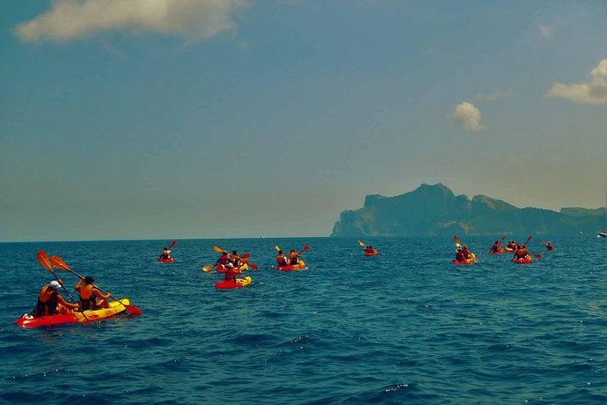 Kayak & Coasteering - Price and value: what $93.46 buys you in a 3-hour outing