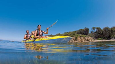 Kayak Excursion