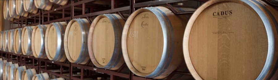 Llucmajor: Bodegas Bordoy Wine Tour - Bodegas Bordoy in Llucmajor, and what this 1.5 hour visit really gives you