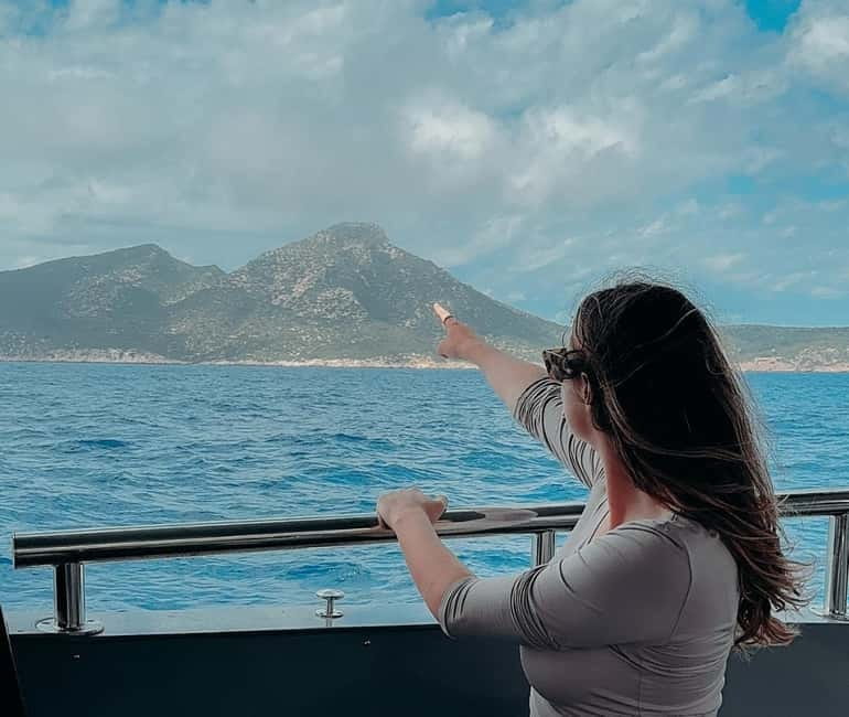 Majorca: Visit the Natural Park of Dragonera Island by boat - Wildlife Encounters: Geckos, Lizards, and Quiet Nature