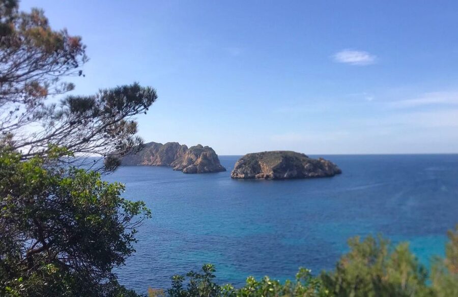 Mallorca: 2-Hour Coastline & Malgrat Islands Catamaran Tour - Who This Mallorca Catamaran Tour Fits Best