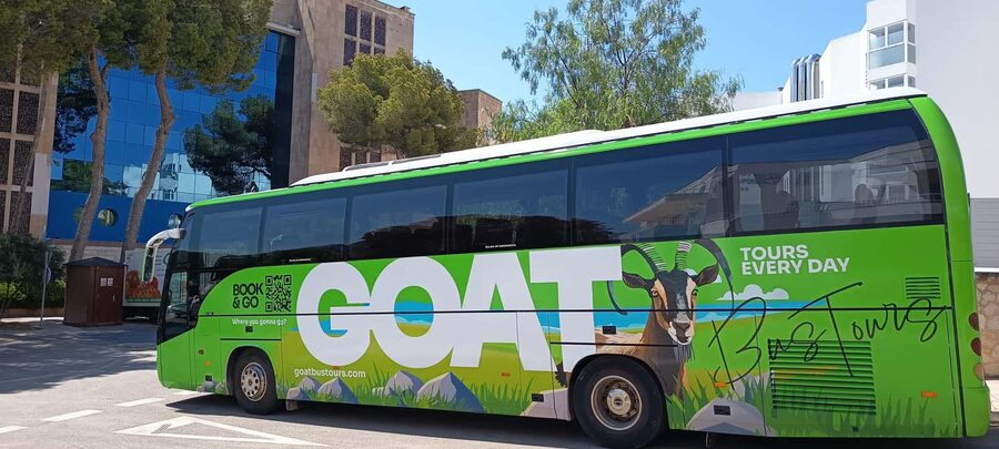 Mallorca: 3-hour bus tour around Calvià with 2 stops - A 3-hour Calvià circuit that strings together coast and village