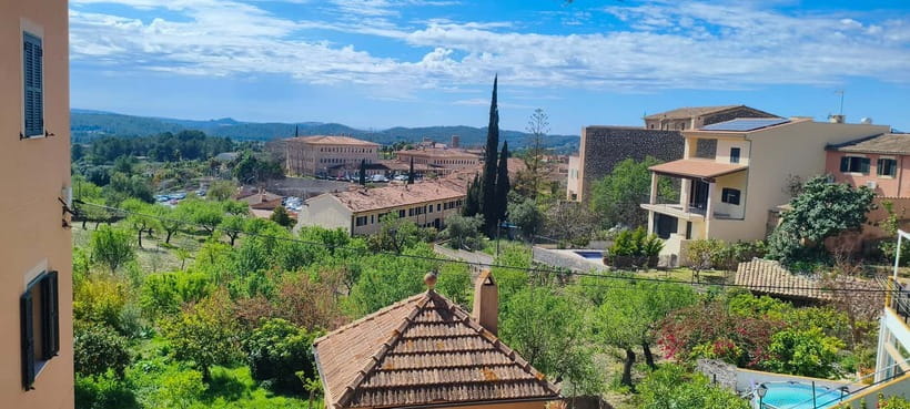 Mallorca: 3-hour bus tour around Calvià with 2 stops - Paguera promenade, then Port Adriano’s high-end reality check