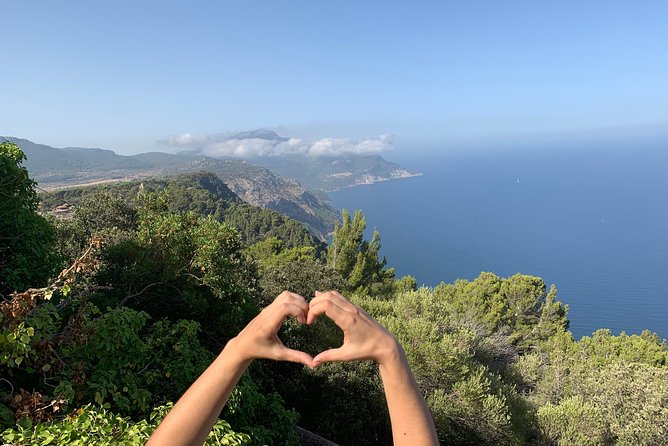 Mallorca: 5-hours Hidden Marvels Tour - Stop 3: La tafona de Can Det, olive oil process, orange crops, and a family lunch