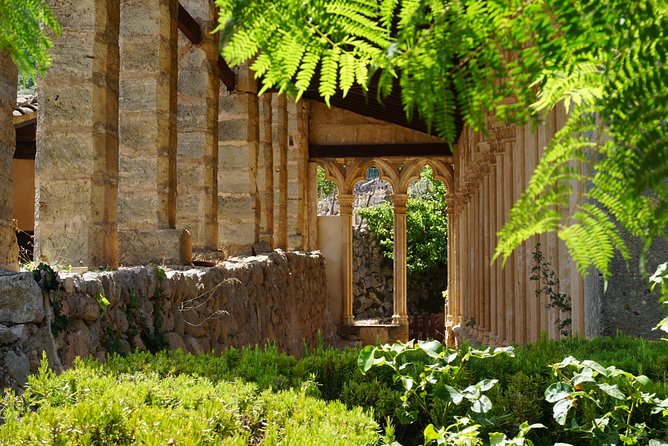 Mallorca: 5-hours Hidden Marvels Tour - What to eat, what to expect, and how to enjoy the tastings