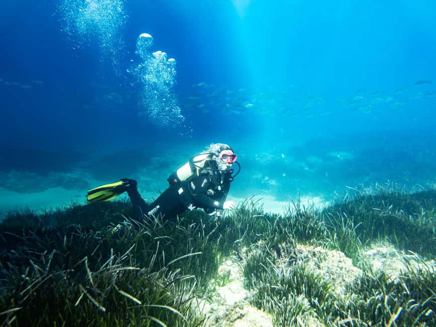 Mallorca: Adventure Diving (without a license - in the quiet off-season) - How to Plan Your Day Around a 2.5 Hour Session