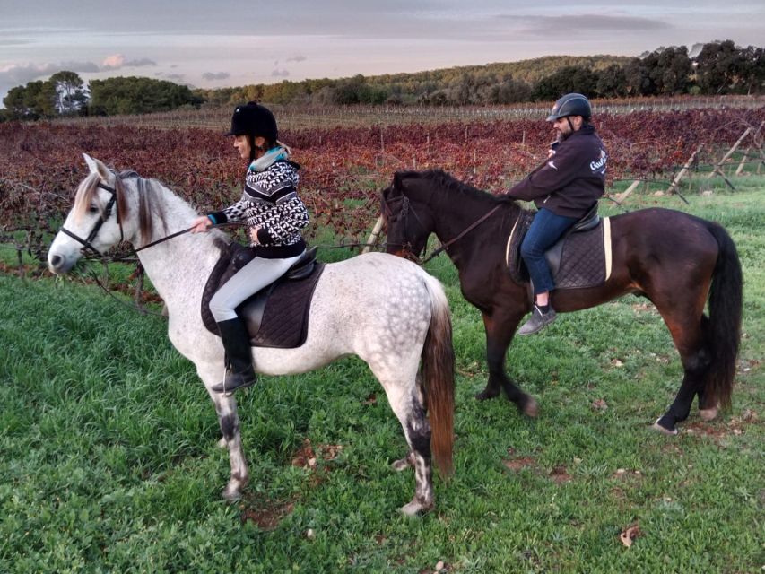 Mallorca: Authentic Horseback Ride in Rural Mallorca - Key things to know before you go