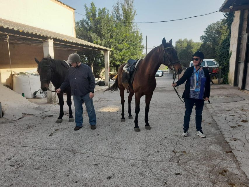 Mallorca: Authentic Horseback Ride in Rural Mallorca - Transportation and Meeting Point: How to Plan Your Arrival