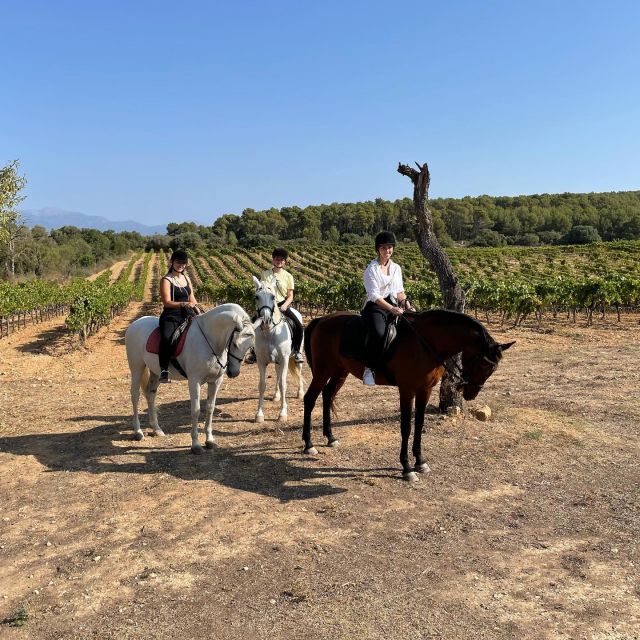 Mallorca: Authentic Horseback Ride in Rural Mallorca - The Arena Warm-Up: Handling, Position, Then Off You Go