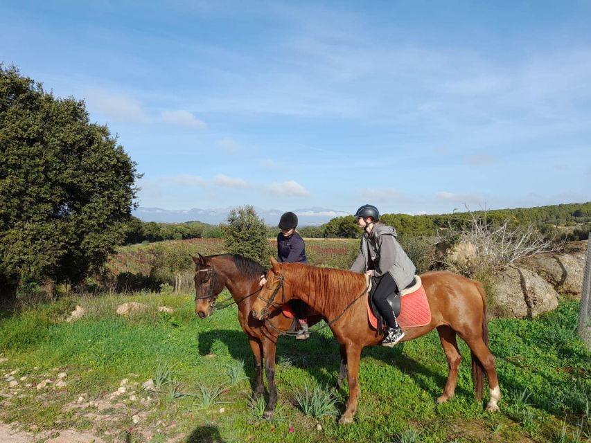Mallorca: Authentic Horseback Ride in Rural Mallorca - Randa Valley Trails: Oak Groves to Open Countryside