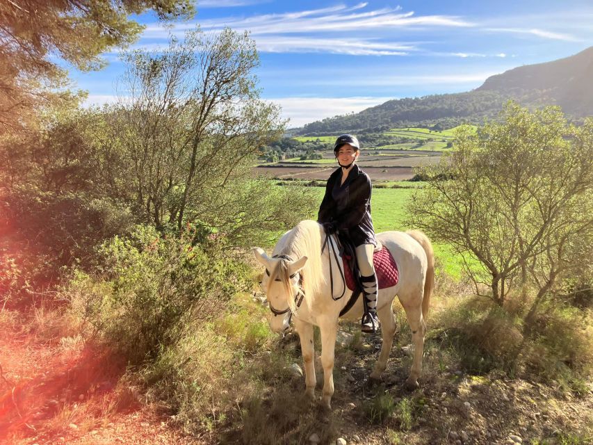Mallorca: Authentic Horseback Ride in Rural Mallorca - What You Pass: Almonds, Olive Groves, and Cultivated Fields