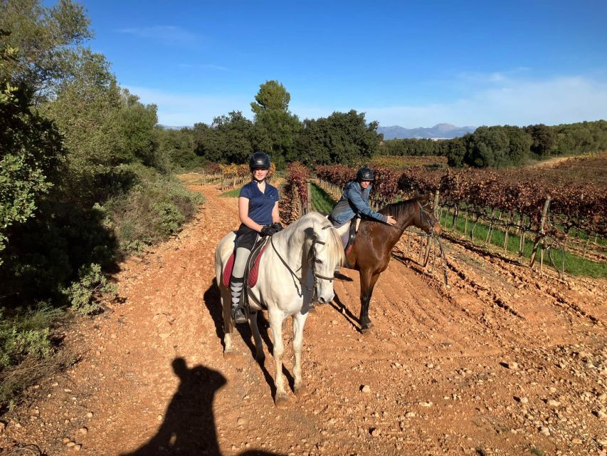 Mallorca: Authentic Horseback Ride in Rural Mallorca - Safety, Limits, and the Realities of an Active Ride