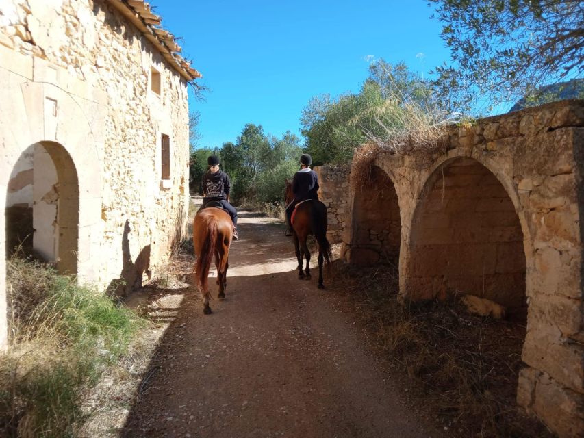 Mallorca: Authentic Horseback Ride in Rural Mallorca - Pace, Group Size, and What the Coaching Actually Means