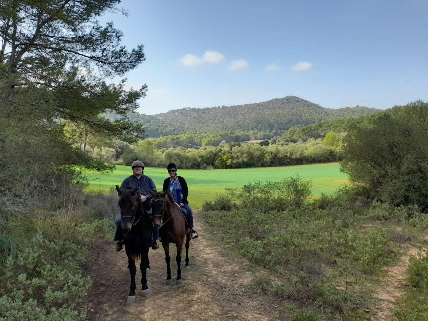 Mallorca: Authentic Horseback Ride in Rural Mallorca - Included Perks That Make It Better Value Than You Think