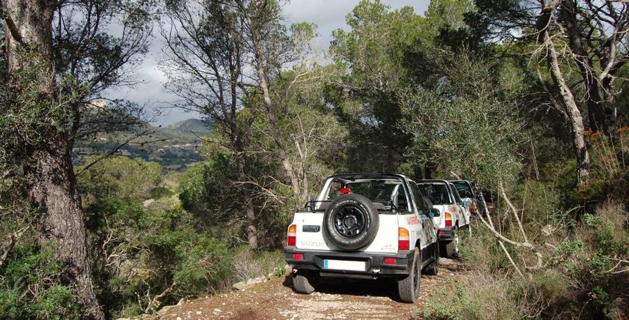 Mallorca: Beach and Mountain 4X4 Tour - Key highlights to know before you go