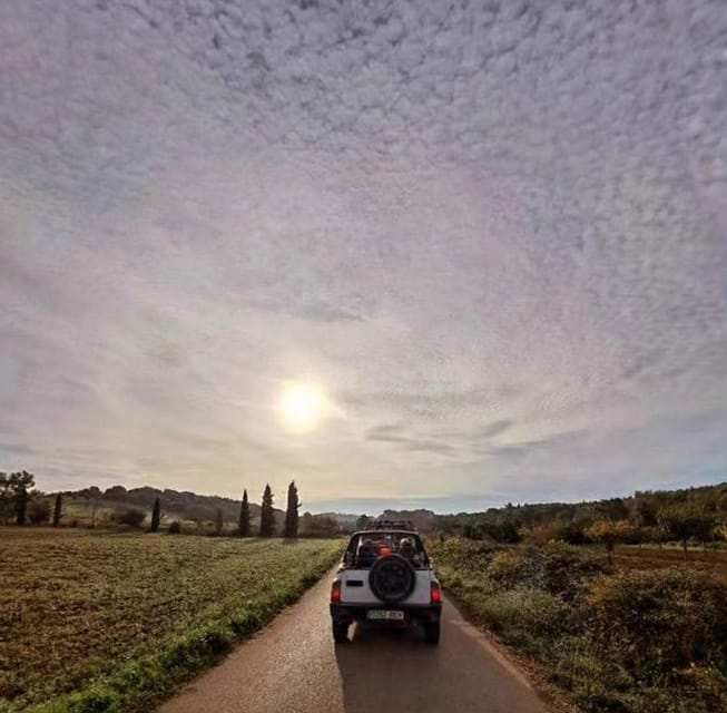 Mallorca: Beach and Mountain 4X4 Tour - Cala Murada swim stop: use it, or miss it