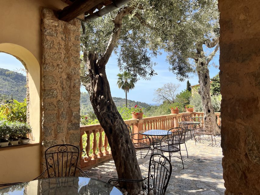 Mallorca Beyond the Guidebooks - Tour with the famous Author - Key things to love about this Mallorca road trip