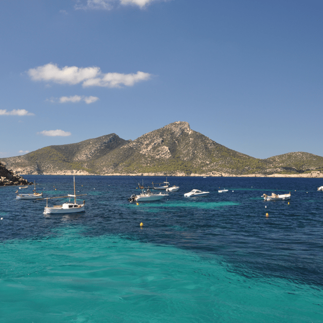 Mallorca: Boat Transfer between Port Andratx and Sant Elm - Puerto de Andratx Check-In: Meeting Points and Parking Reality