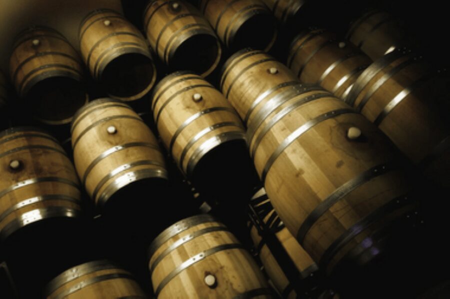 Mallorca: Bodega Butxet Vineyards & Winery Tour with Tasting - Key points to know before you go