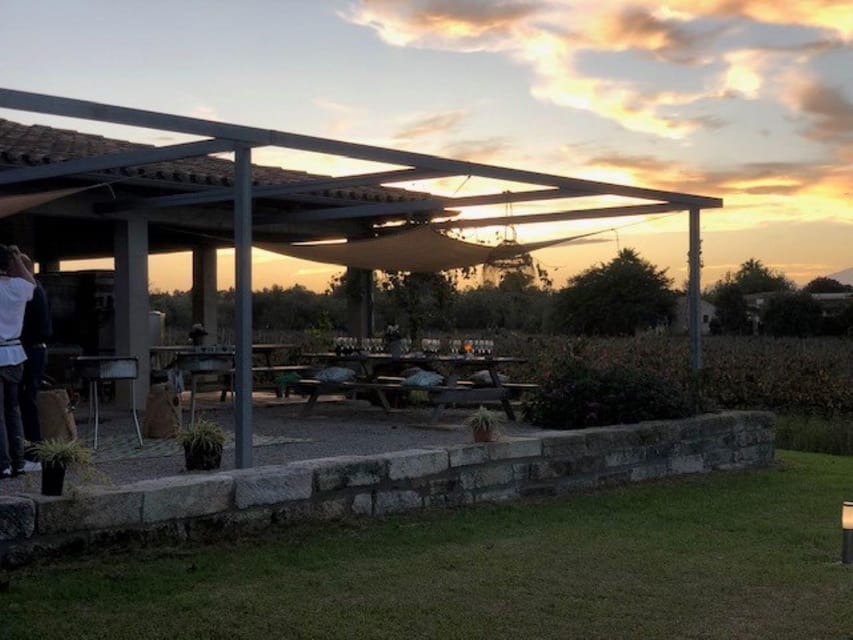 Mallorca: Bodega Butxet Vineyards & Winery Tour with Tasting - Should you book Bodega Butxet?