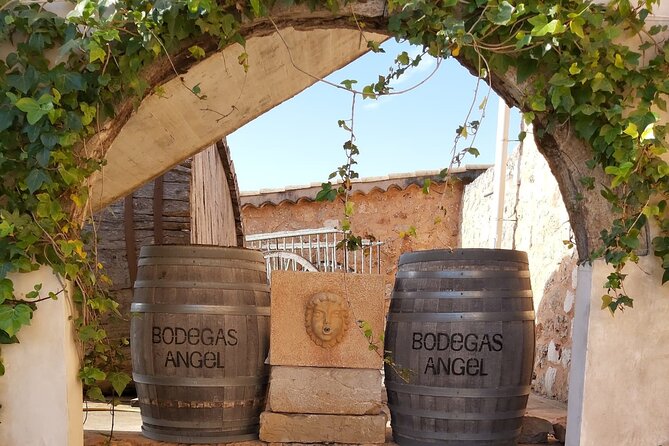 Mallorca Bodega & Olive Minibus Tour incl. Pick-up South Coast - Price and what you actually get for $203.06