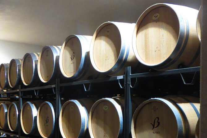 Mallorca Bodega & Olive Minibus Tour incl. Pick-up South Coast - Stop-by-stop: how the wine route works at Bodegas Angel, Vins Nadal, Bodega Ramanya, and Celler Tianna Negre