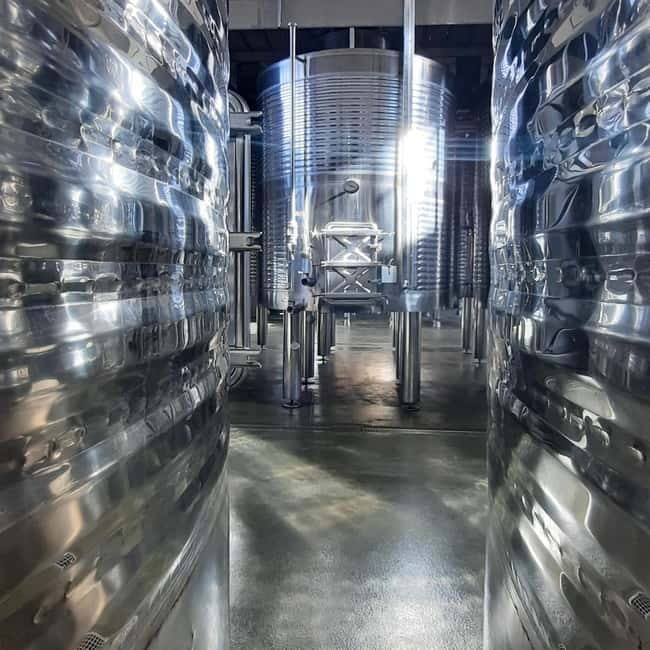 Mallorca: Bodega & Olives Minibustour with wine/oil tasting - Bodega Visit: Wine Growing Context, Cellar Walkthrough, and a Calm Tasting Pace