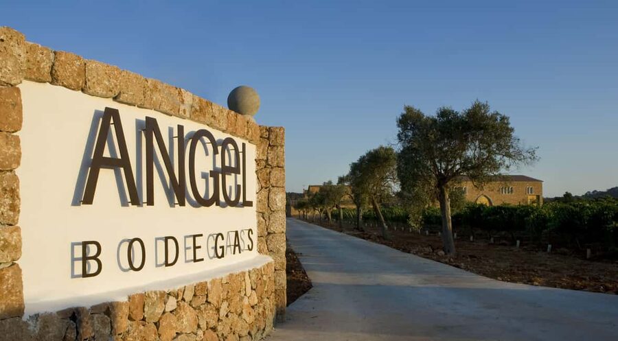 Mallorca: Bodegas Ángel Winery Tour with Wine Tasting - Key takeaways