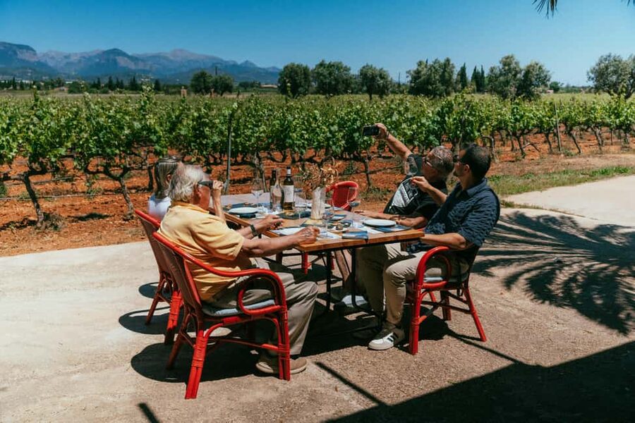 Mallorca: Bodegas Ángel Winery Tour with Wine Tasting - A 2-hour vineyard-and-tasting plan at Bodegas Ángel