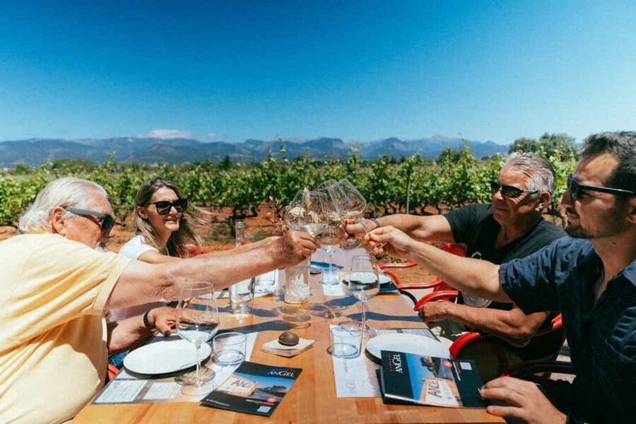 Mallorca: Bodegas Ángel Winery Tour with Wine Tasting - What the winery tour covers before you taste