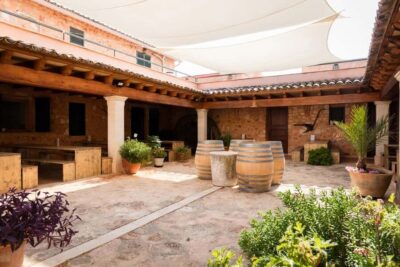 Bodegas Ángel Winery Tour with Wine Tasting